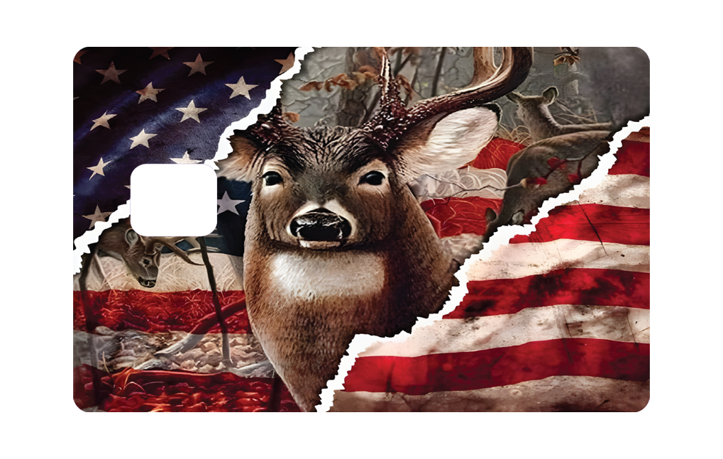 10 Family Credit Card Skin Set 4pc - Image 4