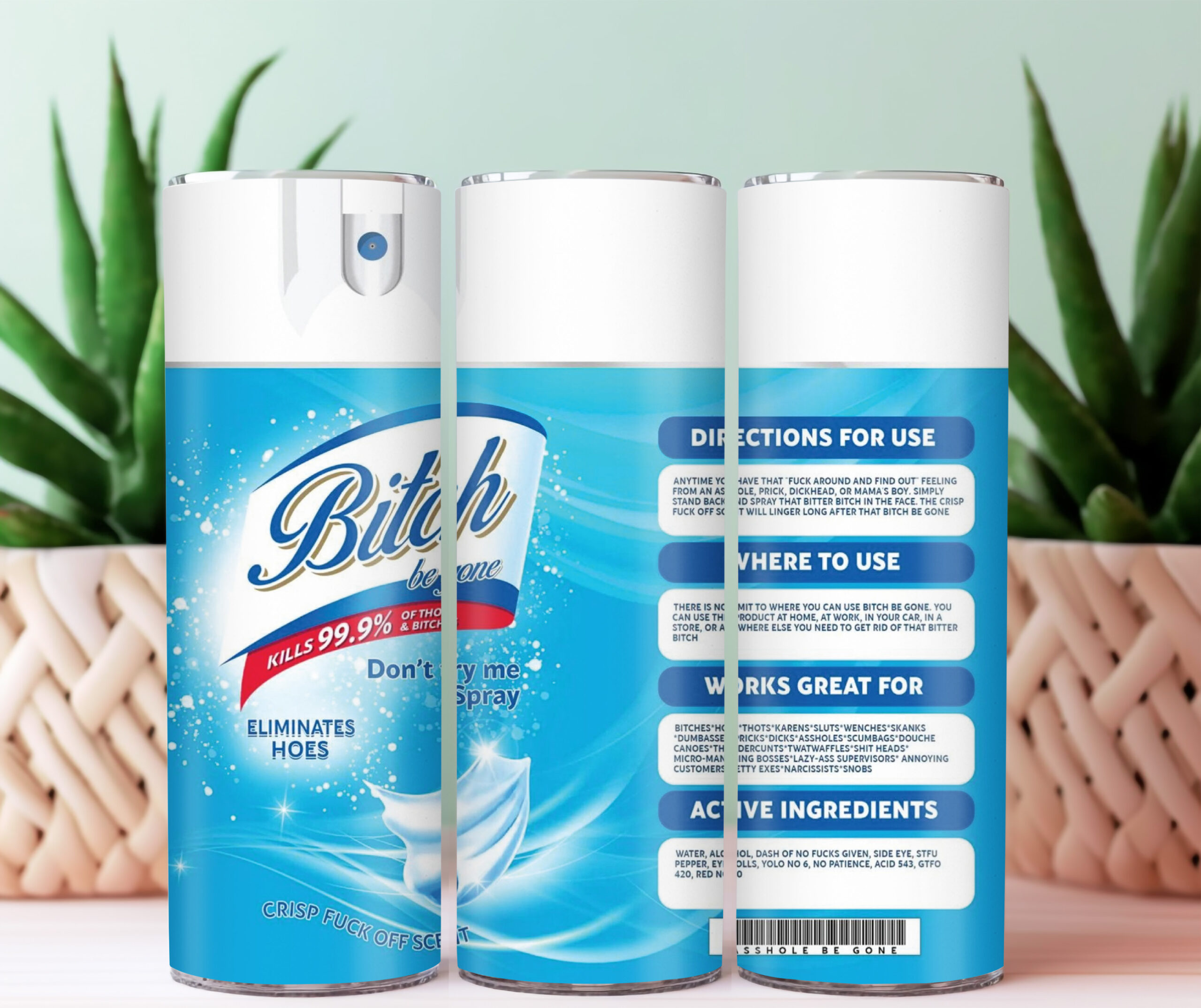 TD026 Btch Be Gone 20oz Slim Tumbler DESIGN ONLY! Download! - Image 2