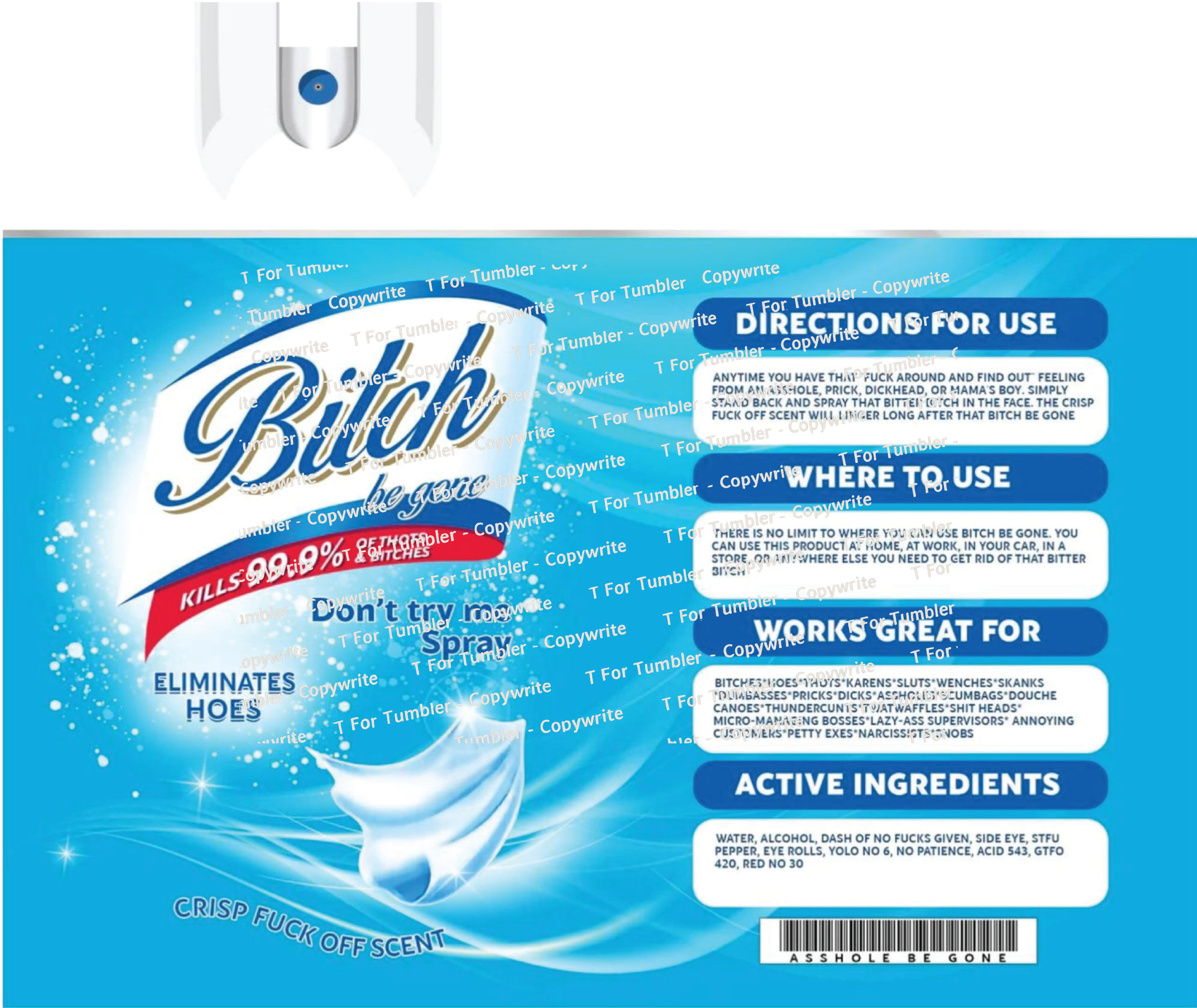 TD026 Btch Be Gone 20oz Slim Tumbler DESIGN ONLY! Download!