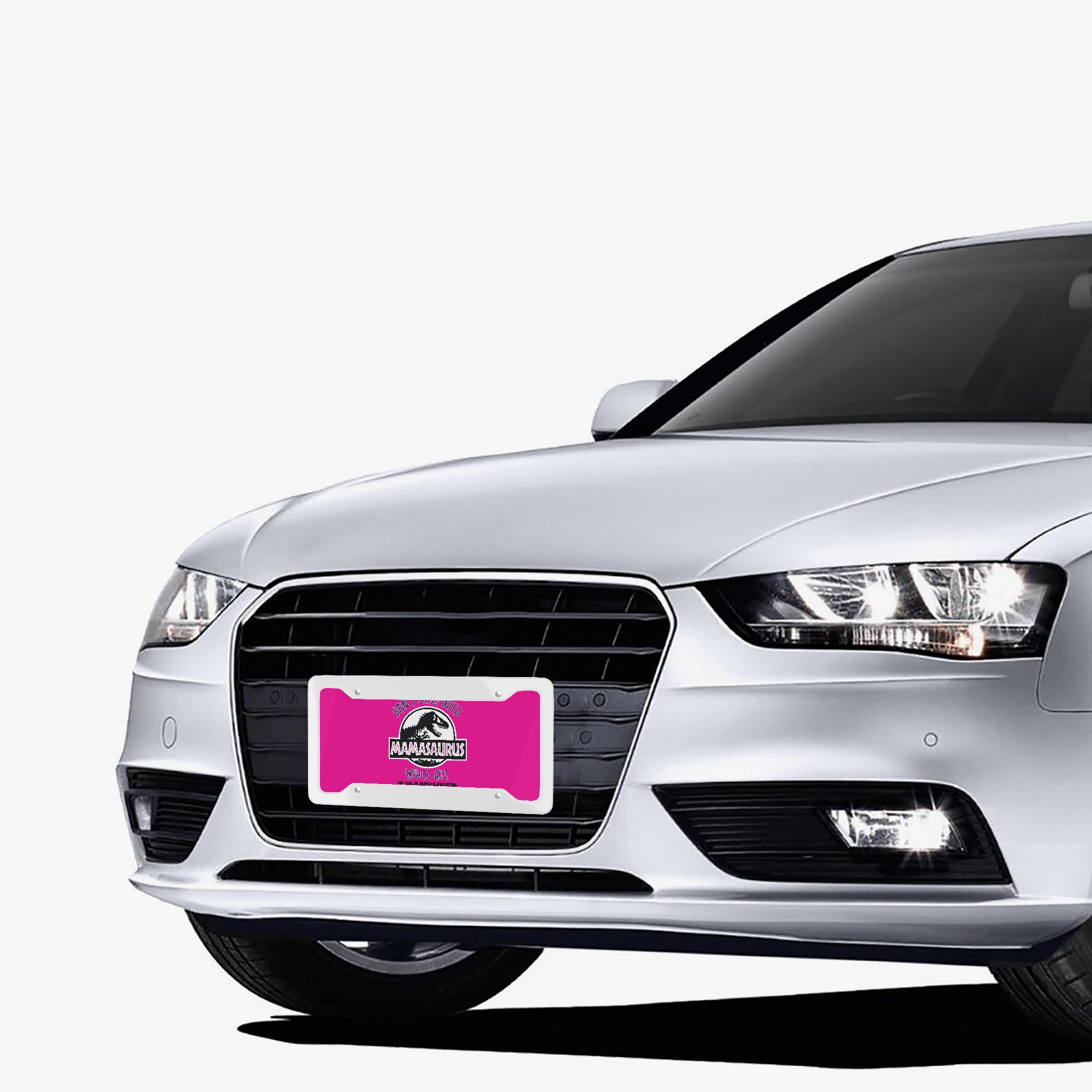 120 Mamasaurus Vanity Plate - Aluminum - Image 4